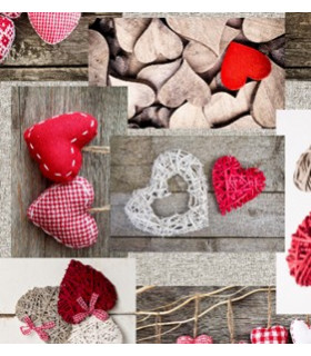 Hilary Trapunta Invernale Imbottita 350 gr/mq Stampata 100% Morbida Microfibra di Poliestere Misura Letto Singolo 1 Piazza 18