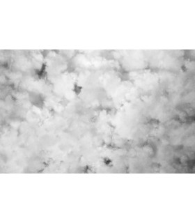 Anima Imbottitura in Ovatta per Cuscini Arredo Divano e Letto Made in Italy 5 misure