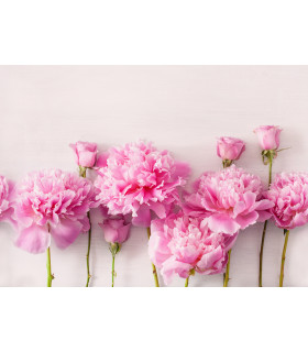 Passatoia Tappeto da Cucina Antiscivolo e Antimacchia Flessibile Dis. ROSE ROSA