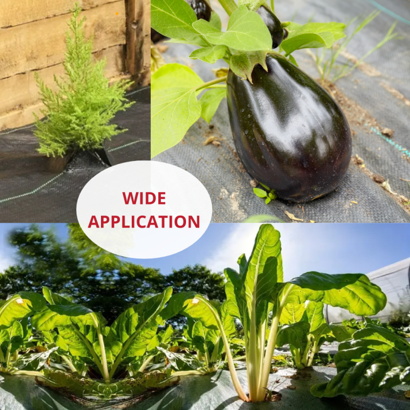 Telo Pacciamatura per Orto Giardino Tessuto Permeabile all'Acqua Stabilizzazione Barriere Contro Le Erbe Infestanti Colore Nero