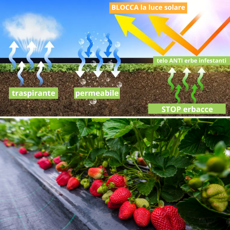 Telo Pacciamatura per Orto Giardino Tessuto Permeabile all'Acqua Stabilizzazione Barriere Contro Le Erbe Infestanti Colore Nero