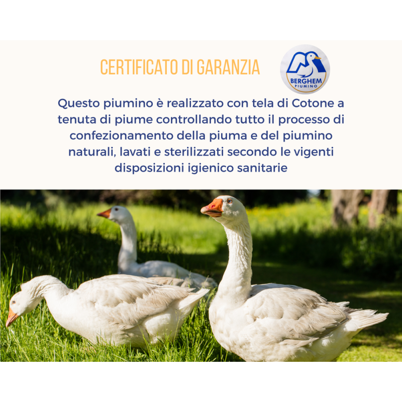 Piumino Winter in piumino d'oca al 50% e 50% Piumette disponibile in 3 misurazioni : singolo, piazza e mezza, matrimoniale.