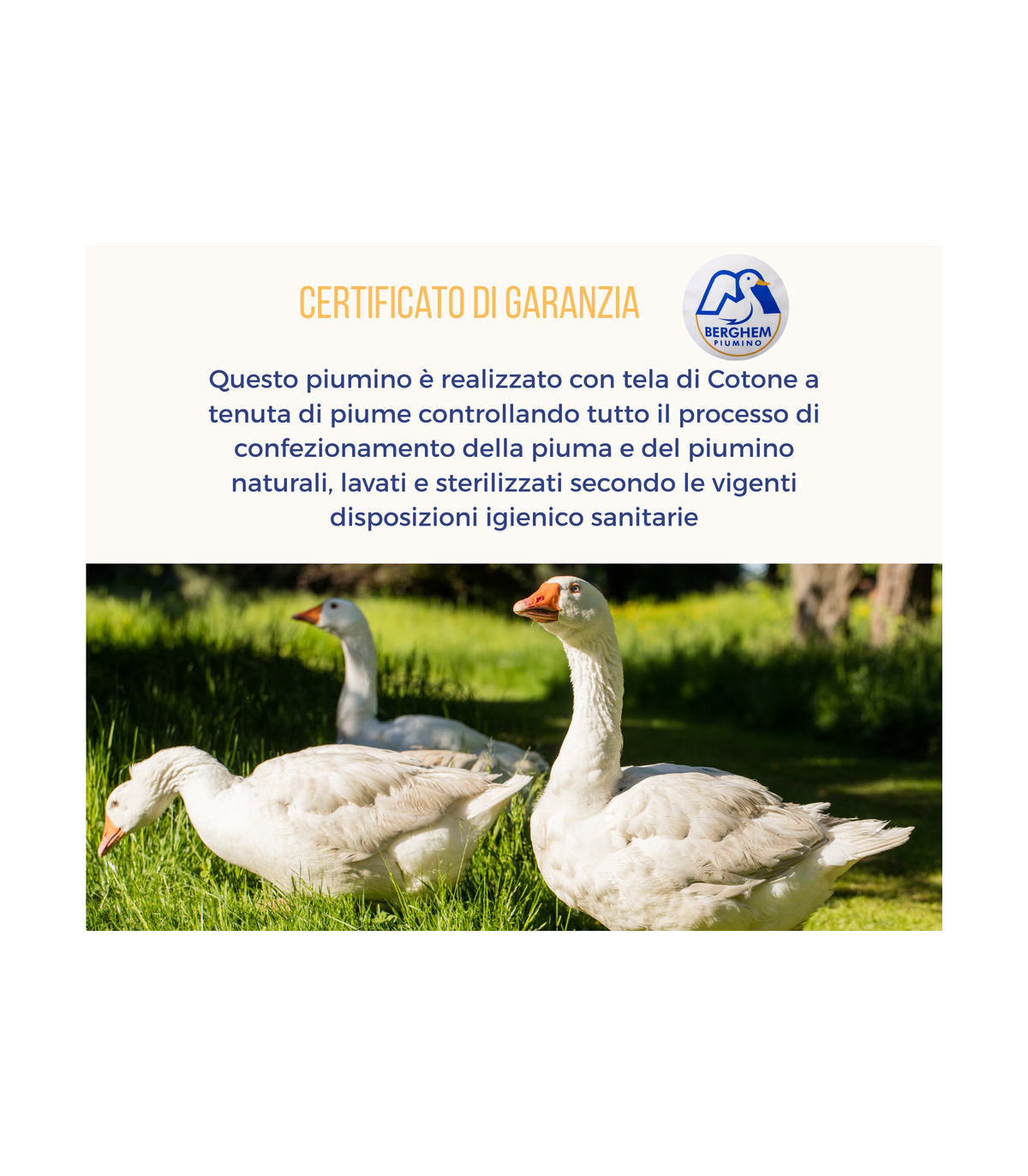 Piumino Winter in piumino d'oca al 50% e 50% Piumette disponibile in 3 misurazioni : singolo, piazza e mezza, matrimoniale.