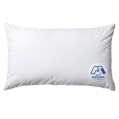 Guanciale cm 50X80 altezza 13 cm in Vera Piuma MOD. BERGHEM