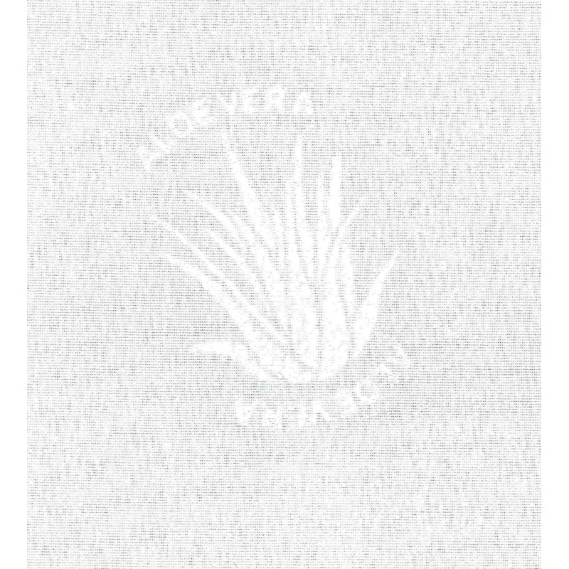 Guanciale ALOE VERA con Trattamento all'Essenza di Aloe Vera Dimensioni cm 50x80 altezza 18 cm 100% MADE IN ITALY